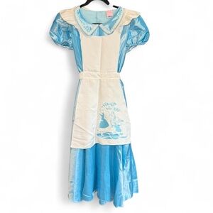 Disney Alice in Wonderland Costume